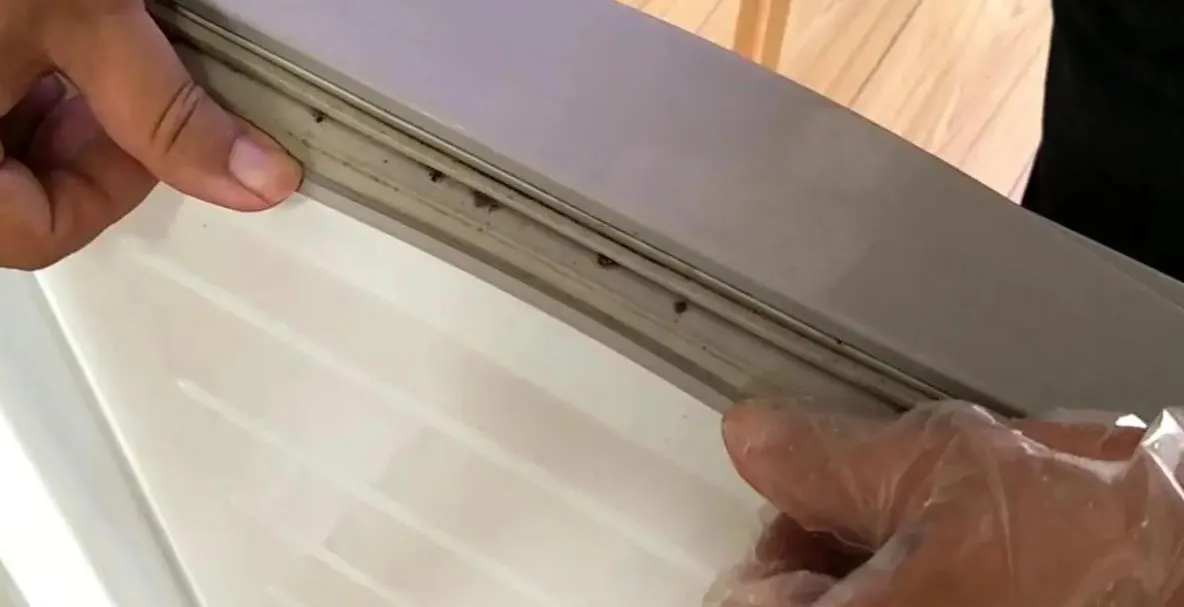 冰箱橡皮圈怎么清洗