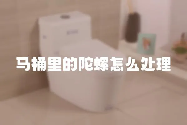 馬桶里的陀螺怎么處理