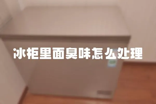 冰柜里面臭味怎么處理