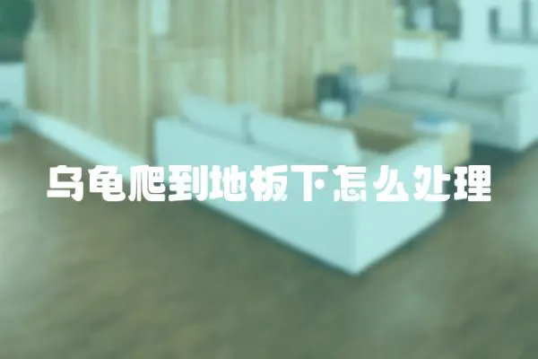 烏龜爬到地板下怎么處理