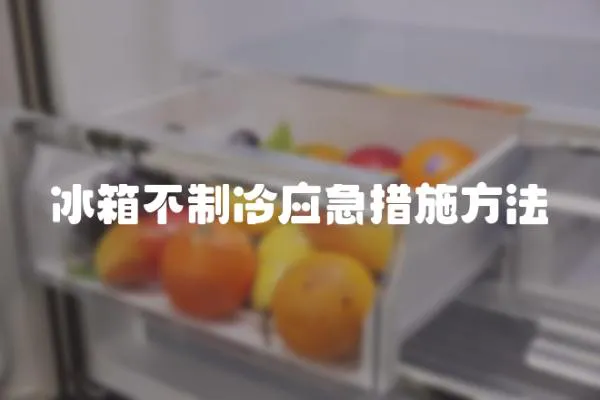 冰箱不制冷應急措施方法