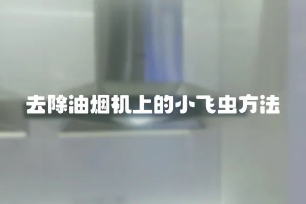 去除油煙機上的小飛蟲方法
