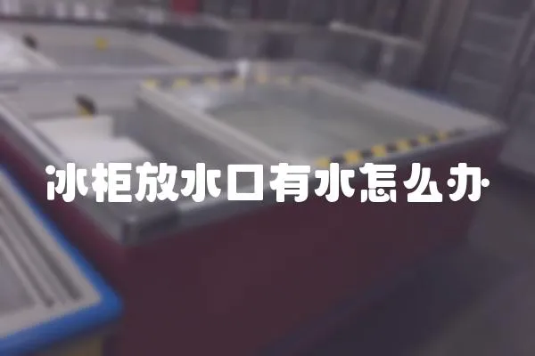 冰柜放水口有水怎么辦
