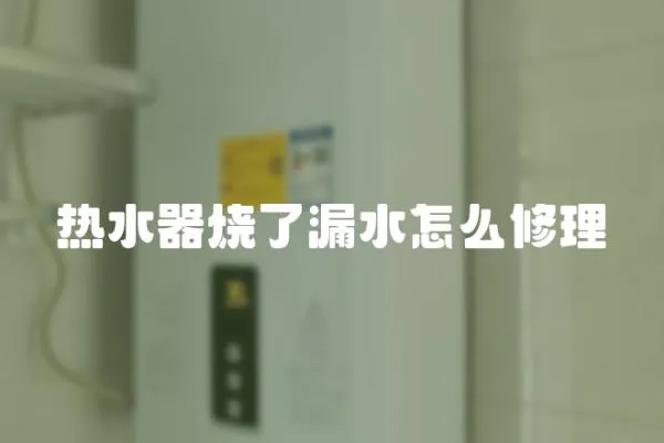 熱水器燒了漏水怎么修理
