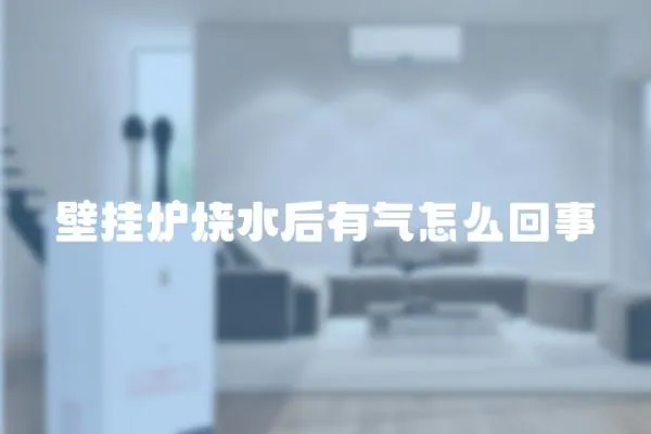 壁掛爐燒水后有氣怎么回事