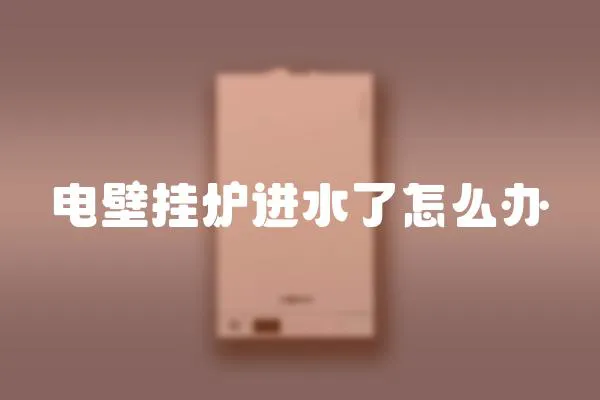 電壁掛爐進(jìn)水了怎么辦