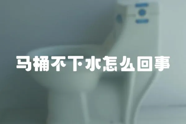 馬桶不下水怎么回事