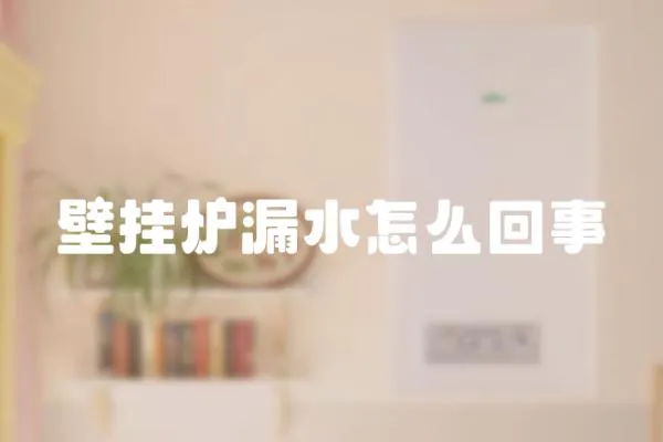 壁掛爐漏水怎么回事