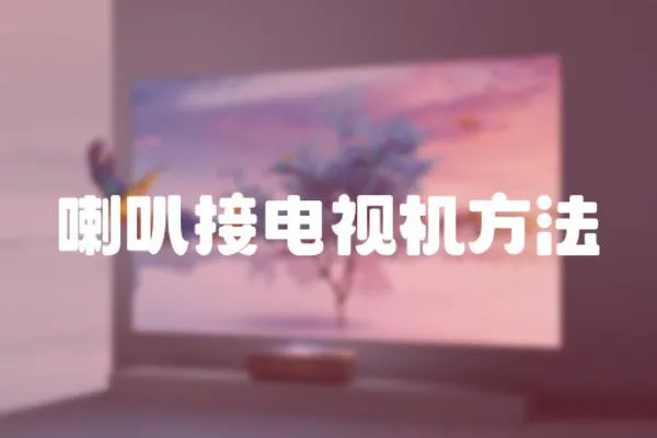 喇叭接電視機(jī)方法