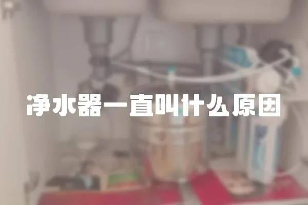 凈水器一直叫什么原因