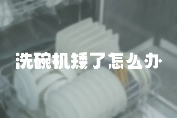洗碗機矮了怎么辦