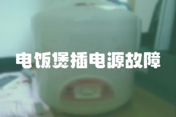電飯煲插電源故障