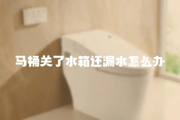 馬桶關了水箱還漏水怎么辦