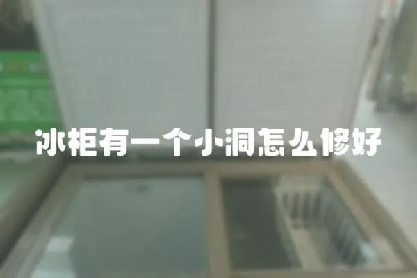 冰柜有一個小洞怎么修好