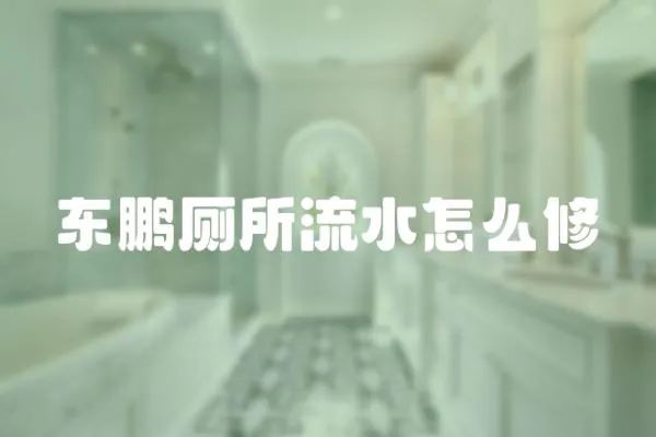 東鵬廁所流水怎么修