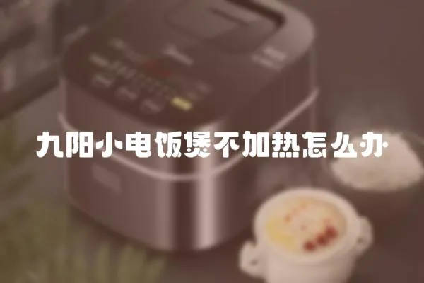 九陽小電飯煲不加熱怎么辦