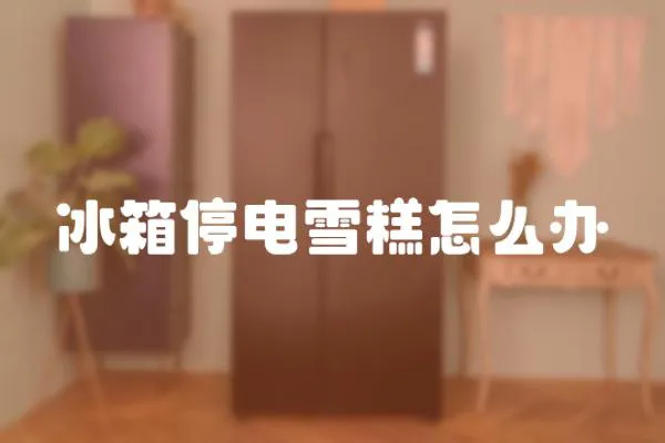 冰箱停電雪糕怎么辦