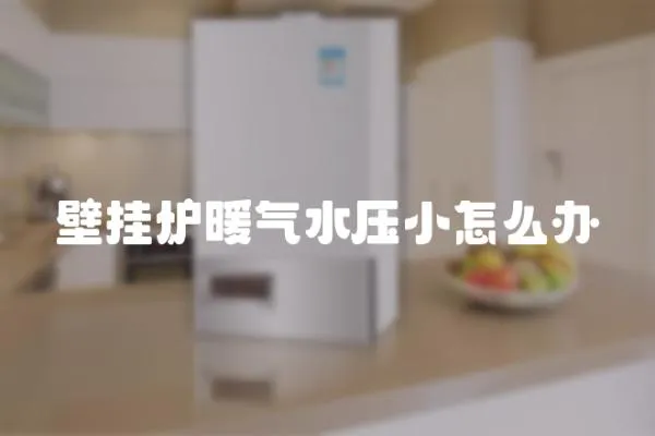 壁掛爐暖氣水壓小怎么辦