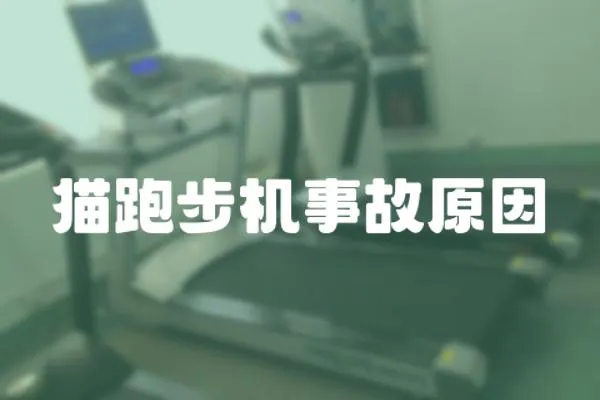 貓跑步機(jī)事故原因