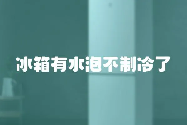 冰箱有水泡不制冷了