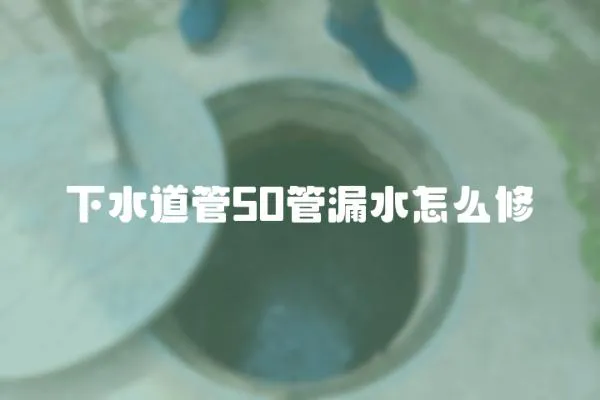下水道管50管漏水怎么修