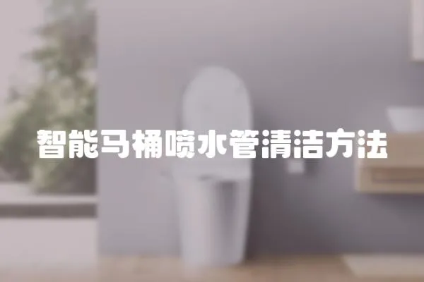 智能马桶喷水管清洁方法