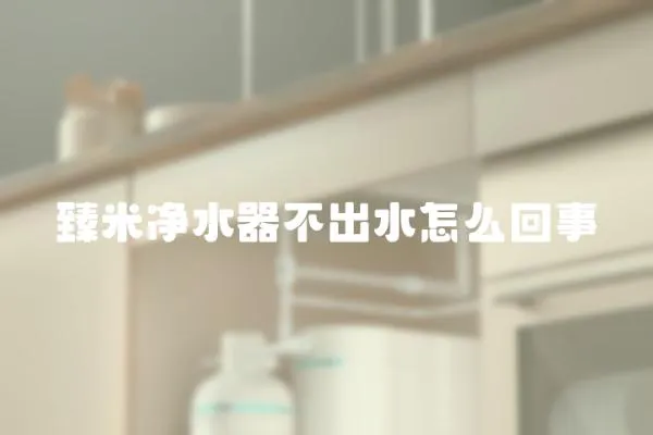 臻米凈水器不出水怎么回事