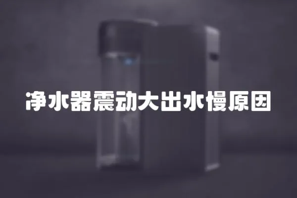 凈水器震動大出水慢原因