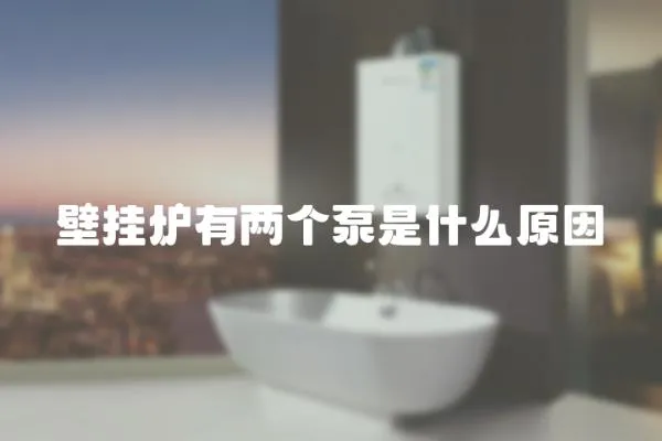 壁掛爐有兩個泵是什么原因