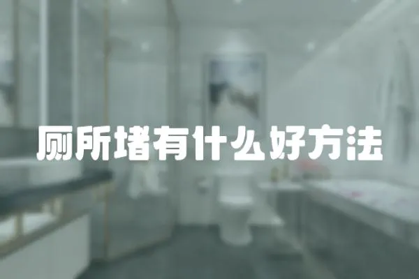 廁所堵有什么好方法