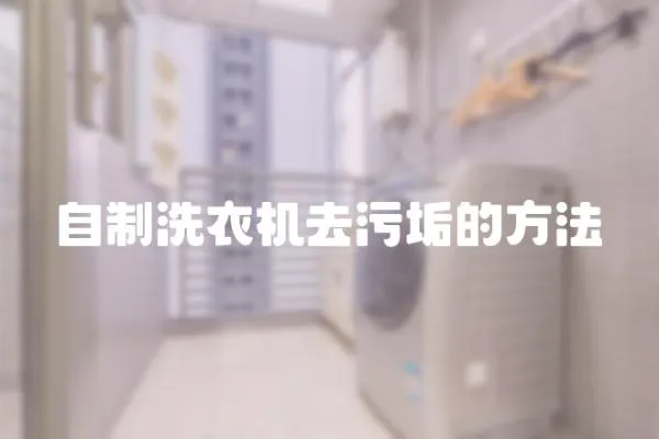 自制洗衣機去污垢的方法