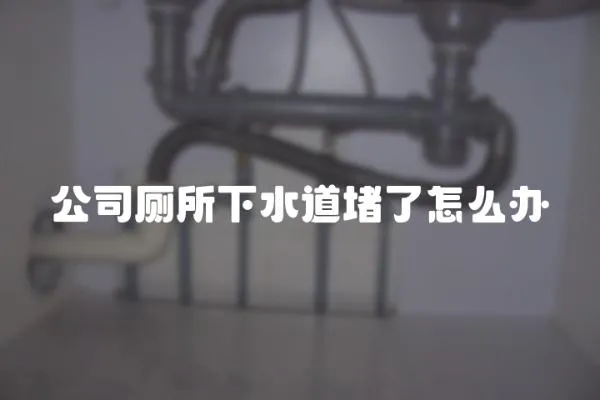 公司廁所下水道堵了怎么辦
