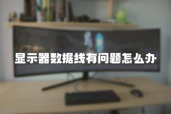 顯示器數據線有問題怎么辦