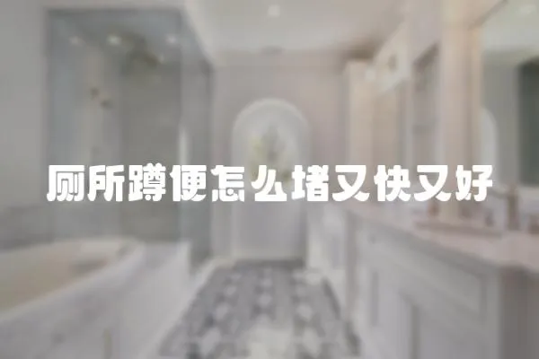 廁所蹲便怎么堵又快又好