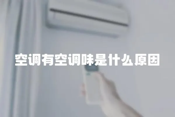 空調(diào)有空調(diào)味是什么原因