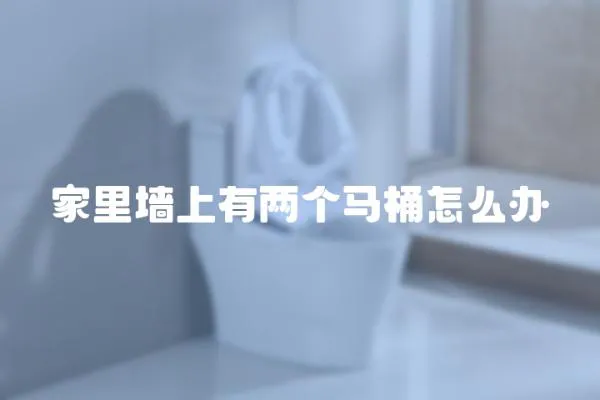 家里墻上有兩個(gè)馬桶怎么辦