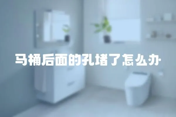 馬桶后面的孔堵了怎么辦