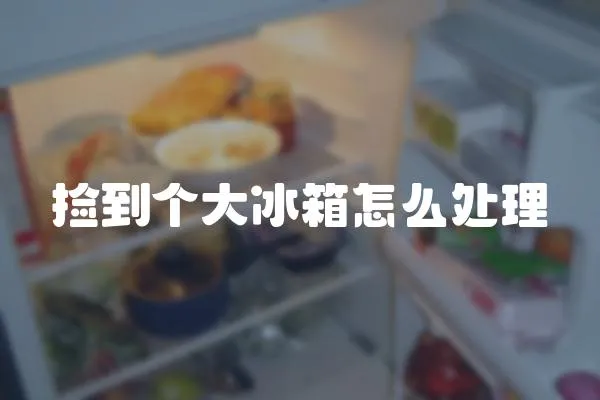 撿到個大冰箱怎么處理