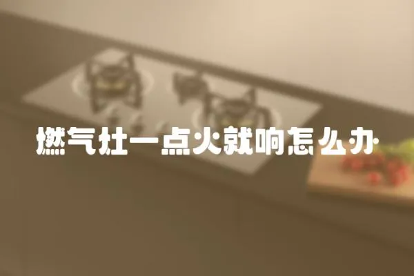 燃氣灶一點火就響怎么辦