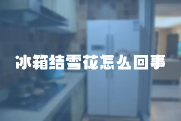 冰箱結雪花怎么回事