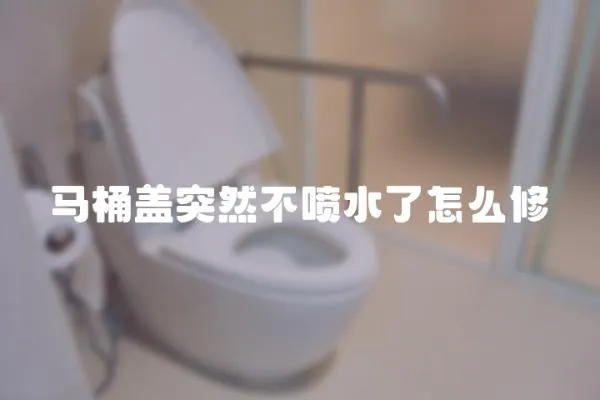 馬桶蓋突然不噴水了怎么修