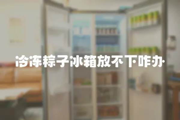 冷凍粽子冰箱放不下咋辦