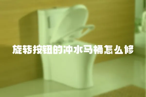 旋轉(zhuǎn)按鈕的沖水馬桶怎么修