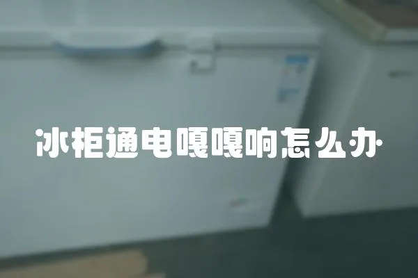 冰柜通電嘎嘎響怎么辦