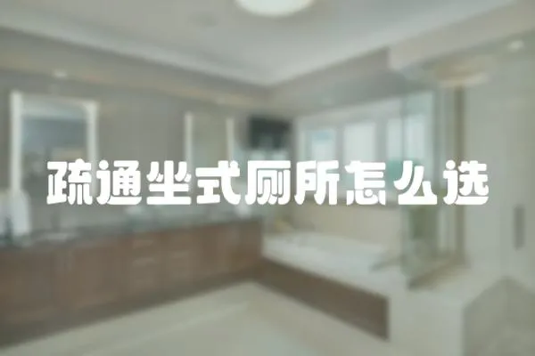 疏通坐式廁所怎么選