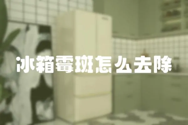 冰箱霉斑怎么去除