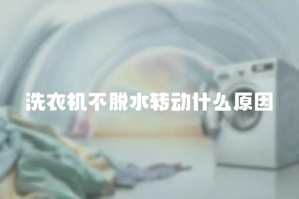 洗衣機不脫水轉動什么原因
