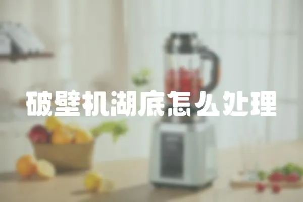 破壁機湖底怎么處理