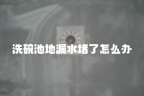 洗碗池地漏水堵了怎么辦