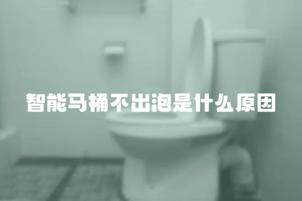 智能馬桶不出泡是什么原因